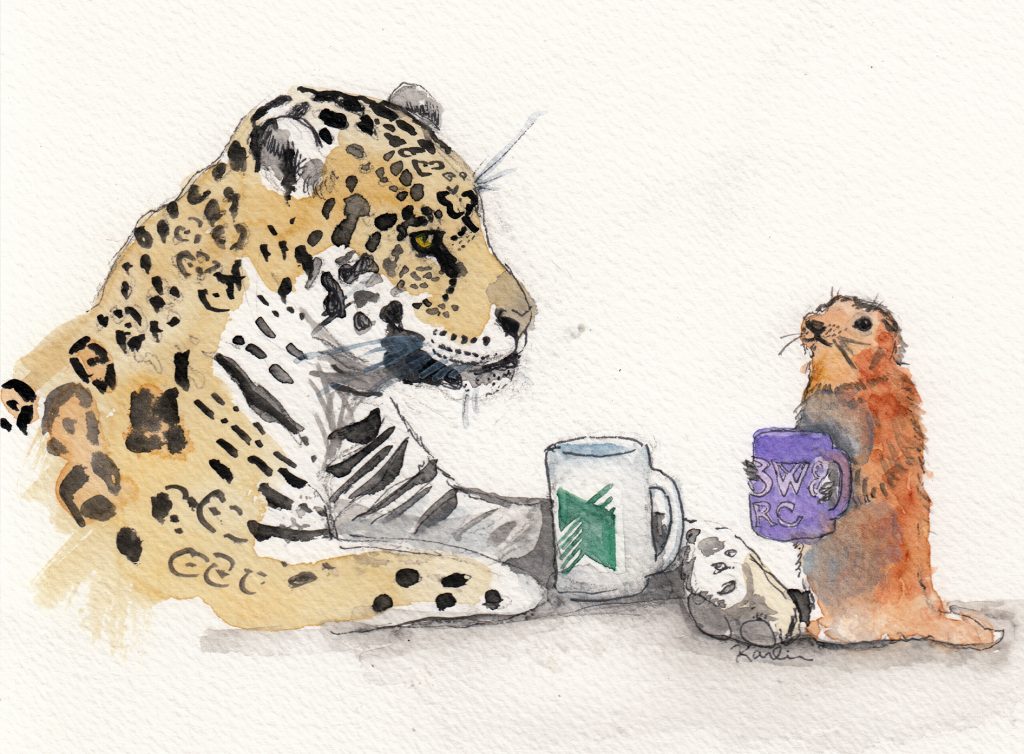 watercolor illustration by Jojo Karlin of a leopard holding a Manifold-branded mug, talking to a gopher holding a coffee mug.